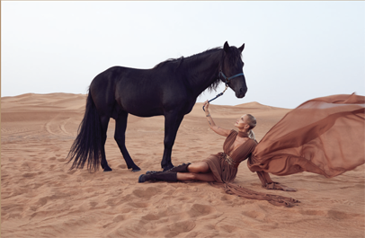 Editorial horse portrait